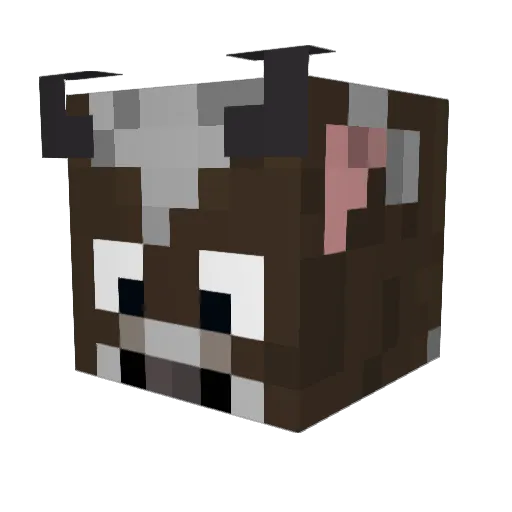 Chok8 Minecraft avatar head, 3D render