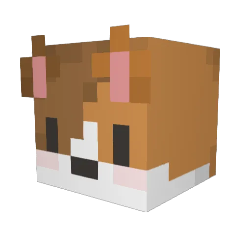 Choko_O_ Minecraft avatar head, 3D render