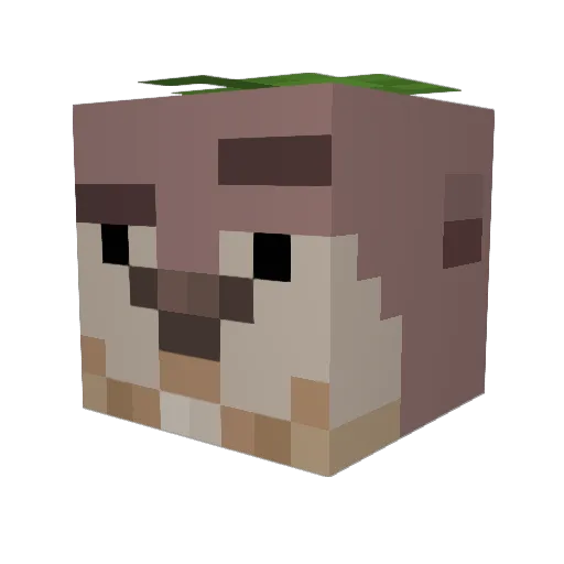 Cholo_pro_yt Minecraft avatar head, 3D render