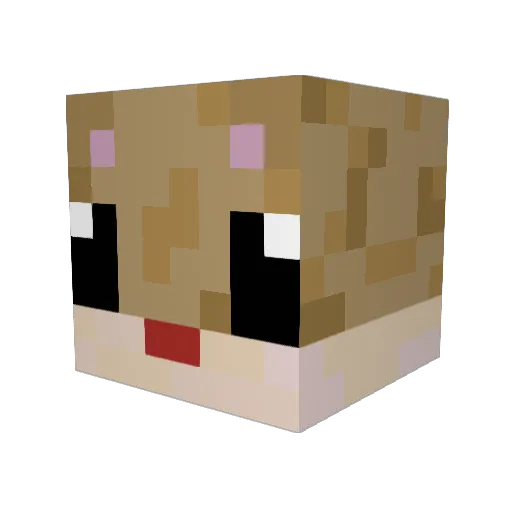 ChomikRico123 Minecraft avatar head, 3D render
