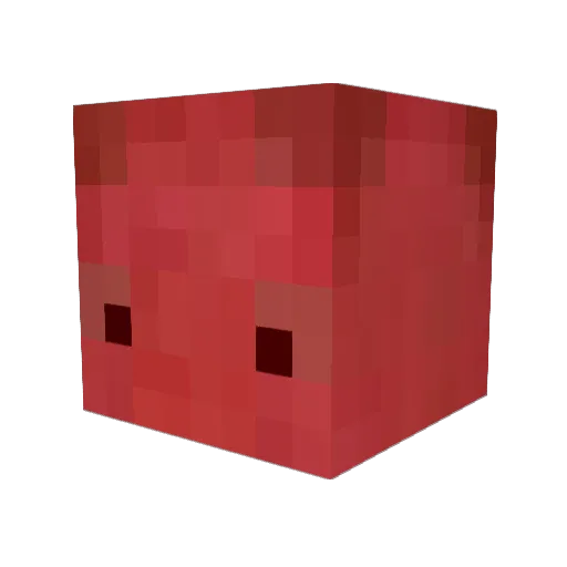 ChompChomp007 Minecraft avatar head, 3D render