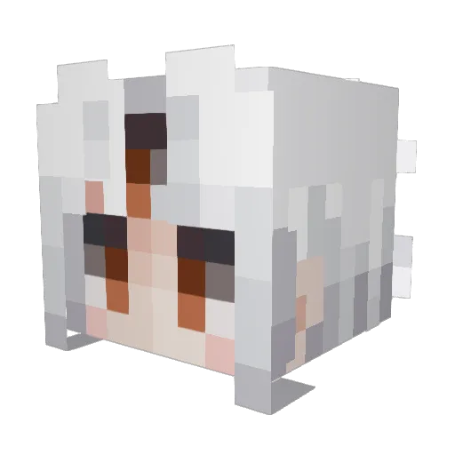 ChompChompVT Minecraft avatar head, 3D render