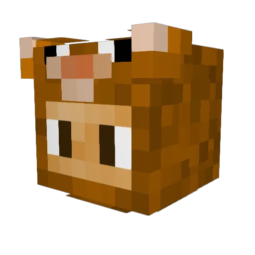 ChongoFett Minecraft avatar head, 3D render