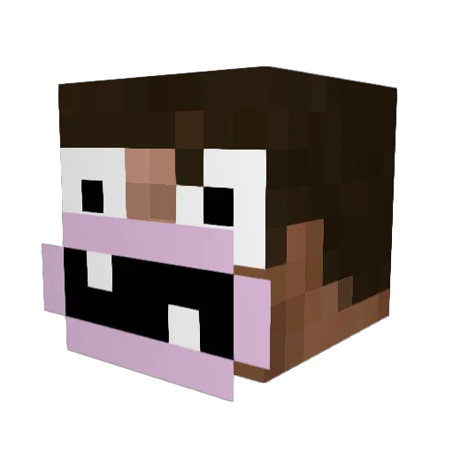 ChonkoBonko Minecraft avatar head, 3D render