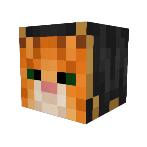 ChonkyCats Minecraft avatar head, 3D render