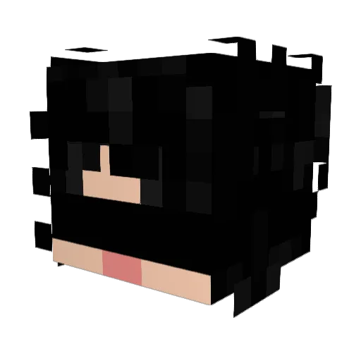 ChonnyJash Minecraft avatar head, 3D render