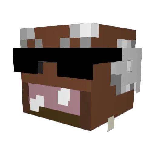 ChookiPooki Minecraft avatar head, 3D render