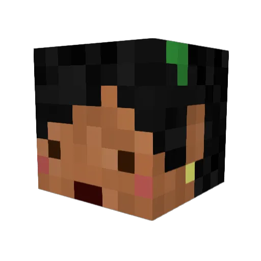 ChookityPop Minecraft avatar head, 3D render