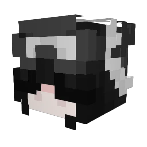 Choopaa Minecraft avatar head, 3D render