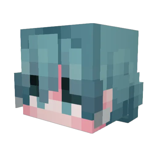 Chooyahs Minecraft avatar head, 3D render
