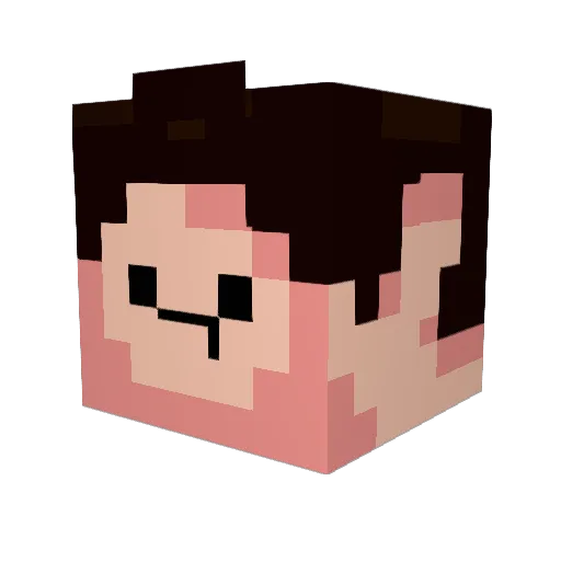 ChopChopMatt Minecraft avatar head, 3D render