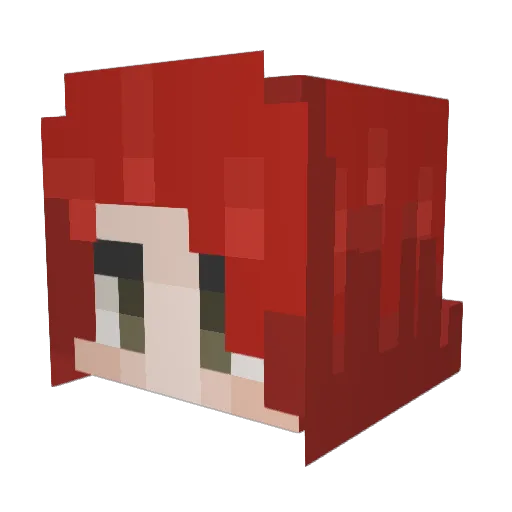 ChopChopNinja Minecraft avatar head, 3D render