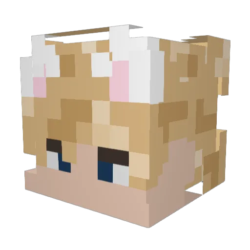 Chopins19 Minecraft avatar head, 3D render