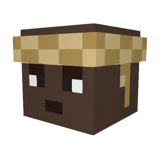 Chopnaldo7 Minecraft avatar head, 3D render