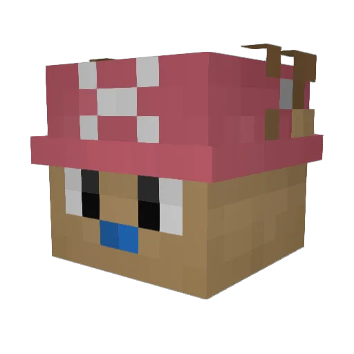 Chopper11637482 Minecraft avatar head, 3D render