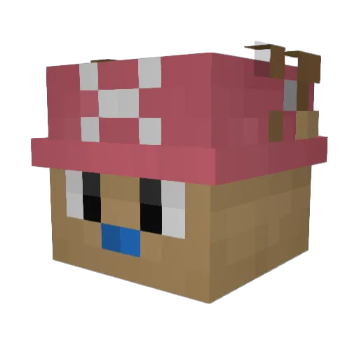 Chopper250 Minecraft avatar head, 3D render