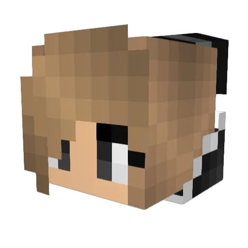 Chopper_Cam Minecraft avatar head, 3D render
