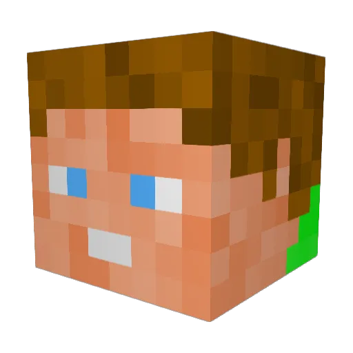 Choppingbacca Minecraft avatar head, 3D render
