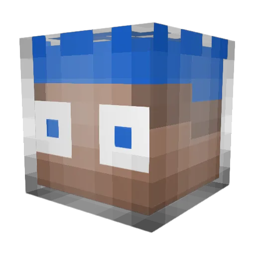 Choraoskate2 Minecraft avatar head, 3D render
