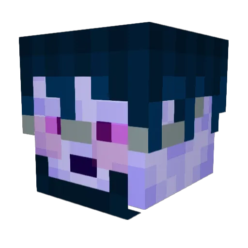 ChorusTea Minecraft avatar head, 3D render