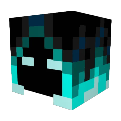 Chosen110 Minecraft avatar head, 3D render