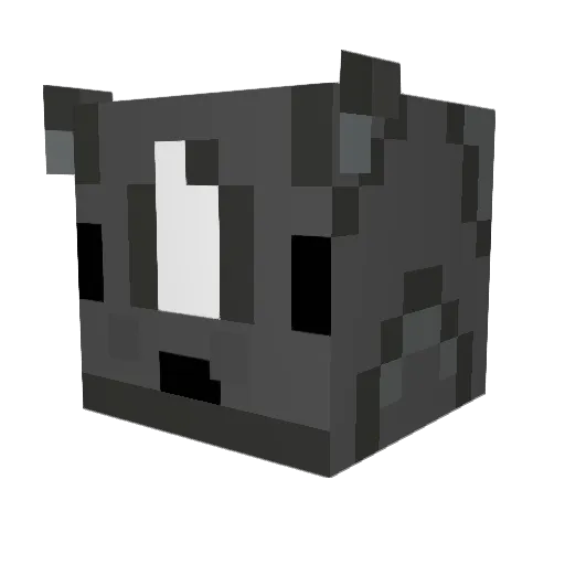 Chosselaar25 Minecraft avatar head, 3D render