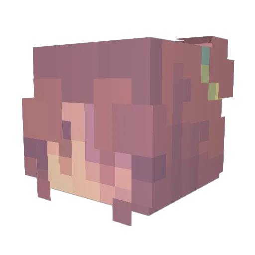 Chosze Minecraft avatar head, 3D render