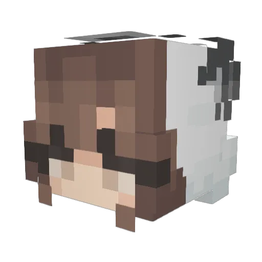 Choubah Minecraft avatar head, 3D render
