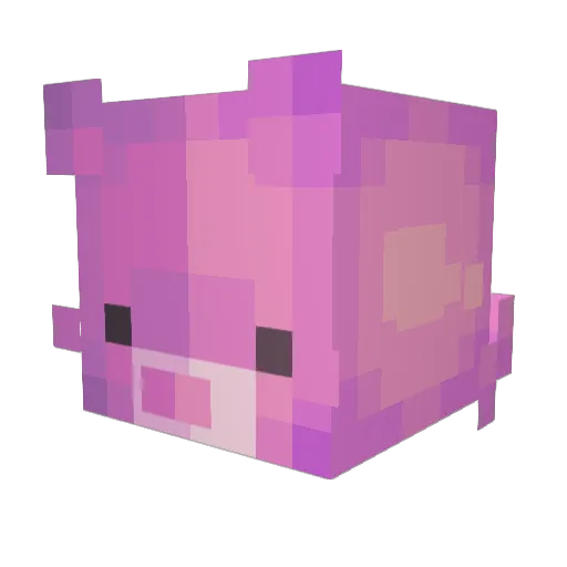 Chouchou13300 Minecraft avatar head, 3D render