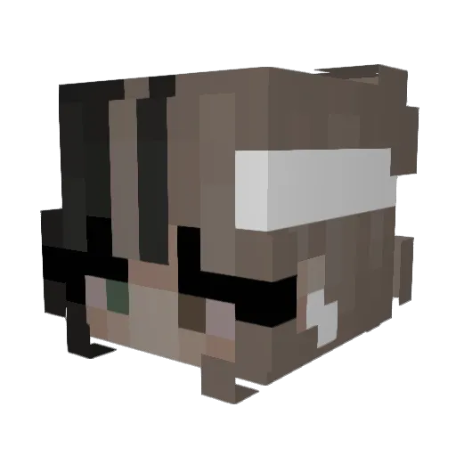 Choupi__ Minecraft avatar head, 3D render