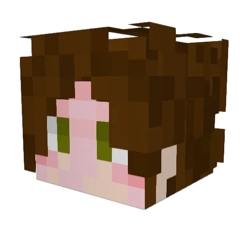 Choupie95 Minecraft avatar head, 3D render