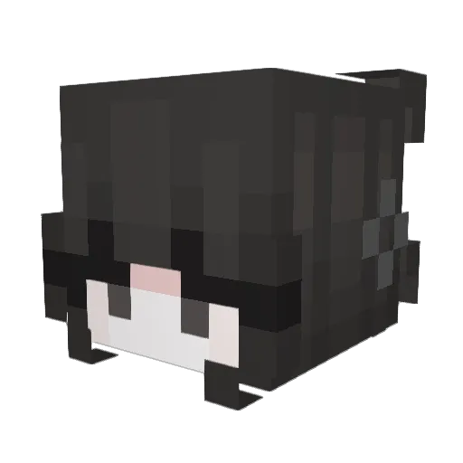 Choupiiie_ Minecraft avatar head, 3D render