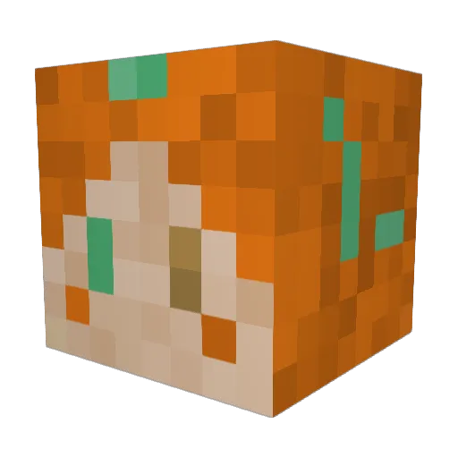 Choupit Minecraft avatar head, 3D render