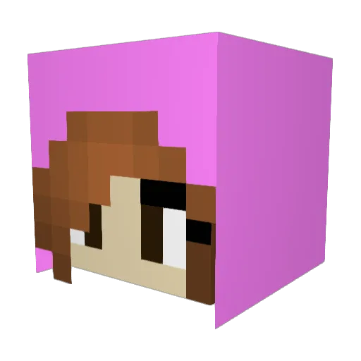 Chouquette_27 Minecraft avatar head, 3D render