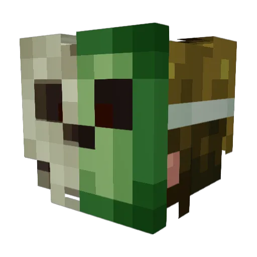Chouy57 Minecraft avatar head, 3D render