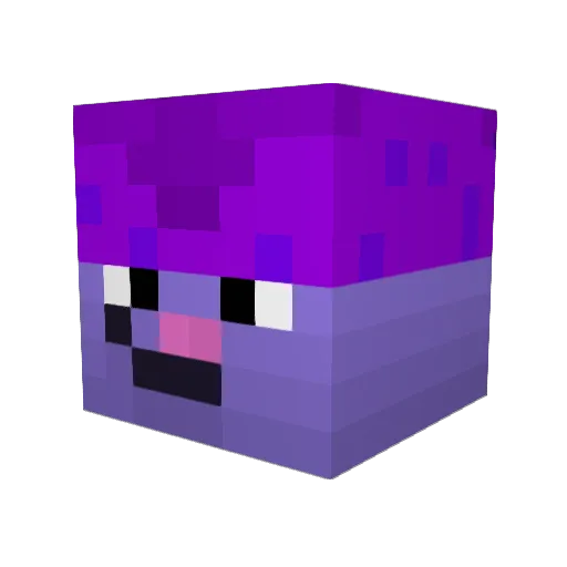 Chowdr_ Minecraft avatar head, 3D render