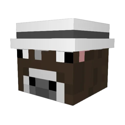 Chowrimootoo Minecraft avatar head, 3D render