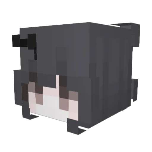 Chr0sia Minecraft avatar head, 3D render
