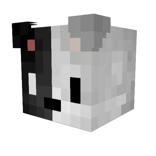 Chr1st14n0 Minecraft avatar head, 3D render