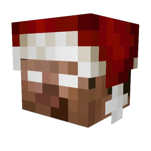 Chr489 Minecraft avatar head, 3D render