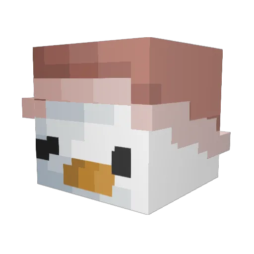 ChrAEstmas29 Minecraft avatar head, 3D render