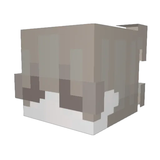 ChriSheees Minecraft avatar head, 3D render