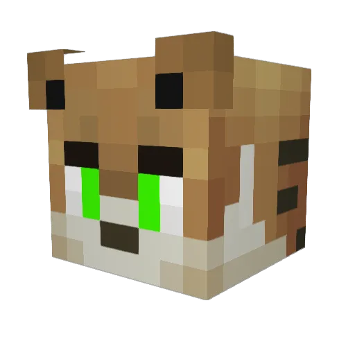ChriiisBruh Minecraft avatar head, 3D render