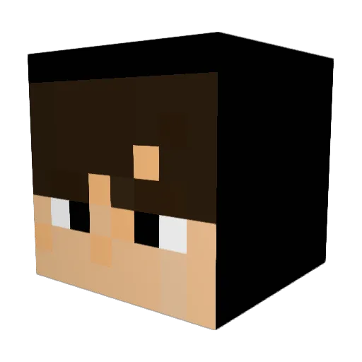 Chris010306 Minecraft avatar head, 3D render