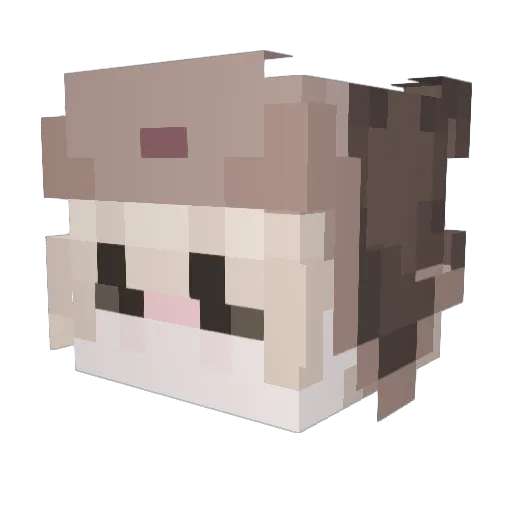 Chris2325 Minecraft avatar head, 3D render