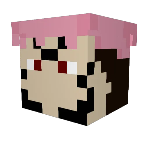 Chris232 Minecraft avatar head, 3D render