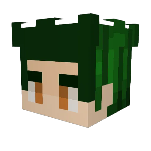 Chris256 Minecraft avatar head, 3D render