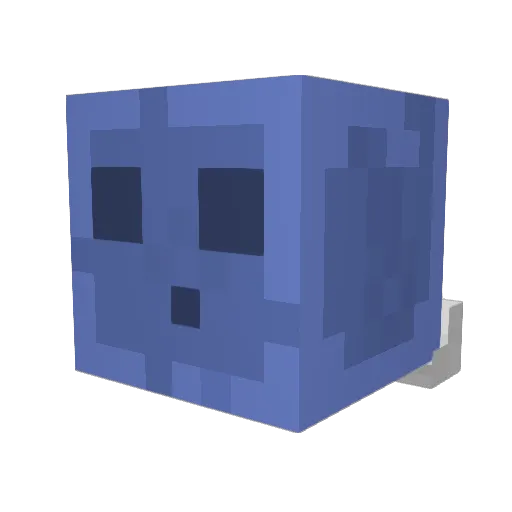 Chris646 Minecraft avatar head, 3D render