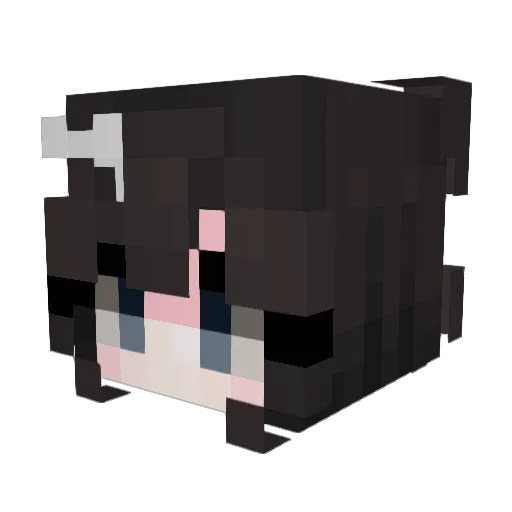 Chris87046 Minecraft avatar head, 3D render