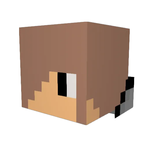 Chris9427 Minecraft avatar head, 3D render